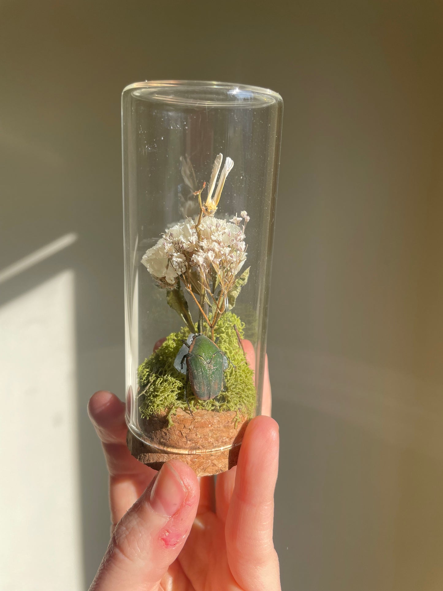 Oddity: Moth, Beetle, Blue Calcite Crystal
