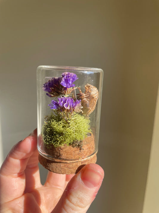 Oddity: Cicada Husk, Dried Flowers