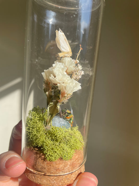 Oddity: Moth, Beetle, Blue Calcite Crystal